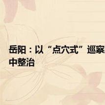 岳阳：以“点穴式”巡察助推集中整治