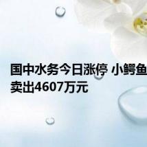 国中水务今日涨停 小鳄鱼席位净卖出4607万元