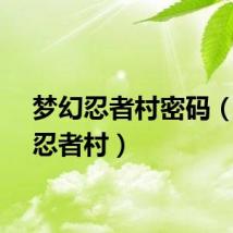 梦幻忍者村密码（梦幻忍者村）