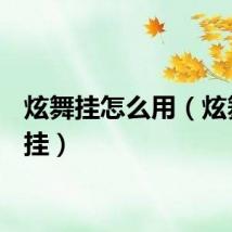 炫舞挂怎么用（炫舞全p挂）