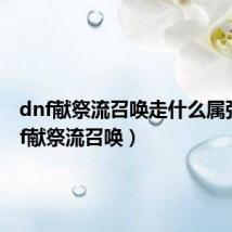 dnf献祭流召唤走什么属强（dnf献祭流召唤）