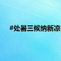 #处暑三候纳新凉#