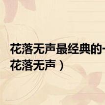 花落无声最经典的一句（花落无声）