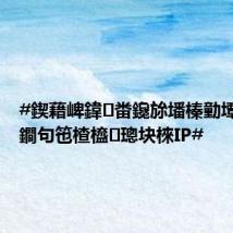 #鍥藉崥鍏畨鑱旀墦榛勭墰灏佺鐧句竾楂橀璁块棶IP#