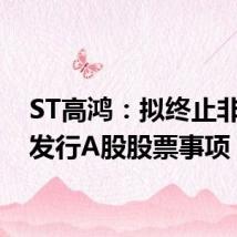 ST高鸿:拟终止非公开发行A股股票事项