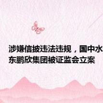 涉嫌信披违法违规,国中水务及股东鹏欣集团被证监会立案