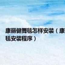 康丽健舞毯怎样安装(康丽健舞毯安装程序)