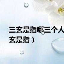 三玄是指哪三个人（三玄是指）