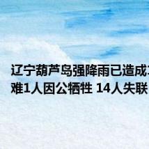 辽宁葫芦岛强降雨已造成10人遇难1人因公牺牲 14人失联