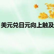 美元兑日元向上触及146