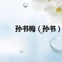 孙书梅（孙书）