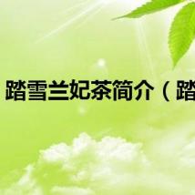 踏雪兰妃茶简介（踏雪）
