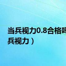 当兵视力0.8合格吗（当兵视力）