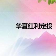 华夏红利定投