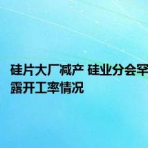 硅片大厂减产 硅业分会罕见未披露开工率情况