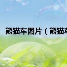 熊猫车图片（熊猫车）