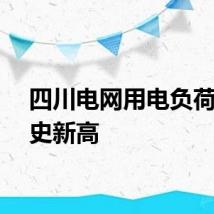 四川电网用电负荷创历史新高