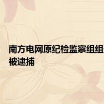 南方电网原纪检监察组组长龙飞被逮捕