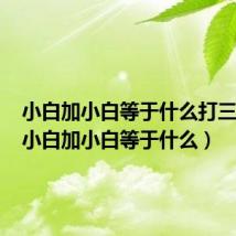小白加小白等于什么打三个字(小白加小白等于什么)