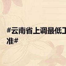#云南省上调最低工资标准#