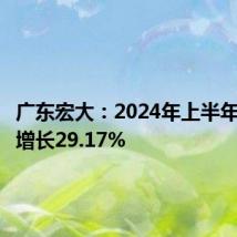 广东宏大:2024年上半年净利润增长29.17%
