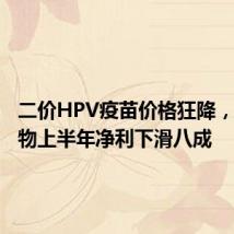 二价HPV疫苗价格狂降,万泰生物上半年净利下滑八成