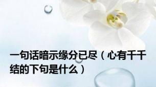 一句话暗示缘分已尽（心有千千结的下句是什么）