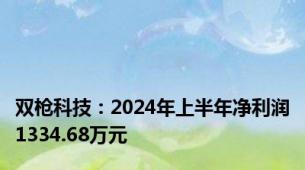 双枪科技：2024年上半年净利润1334.68万元