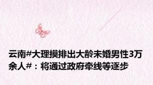 云南#大理摸排出大龄未婚男性3万余人#：将通过政府牵线等逐步