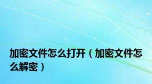 加密文件怎么打开（加密文件怎么解密）