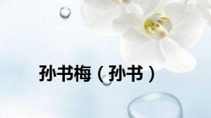 孙书梅（孙书）