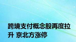 跨境支付概念股再度拉升 京北方涨停