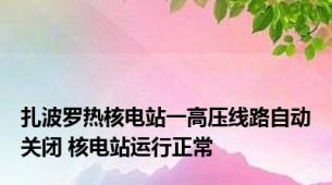 扎波罗热核电站一高压线路自动关闭 核电站运行正常