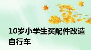 10岁小学生买配件改造自行车