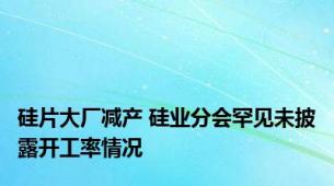 硅片大厂减产 硅业分会罕见未披露开工率情况