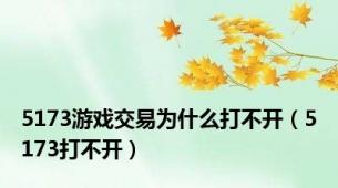 5173游戏交易为什么打不开（5173打不开）
