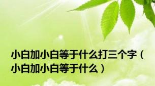 小白加小白等于什么打三个字（小白加小白等于什么）