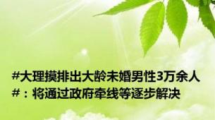 #大理摸排出大龄未婚男性3万余人#：将通过政府牵线等逐步解决