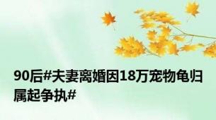 90后#夫妻离婚因18万宠物龟归属起争执#