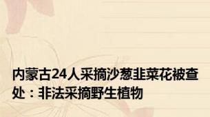 内蒙古24人采摘沙葱韭菜花被查处：非法采摘野生植物