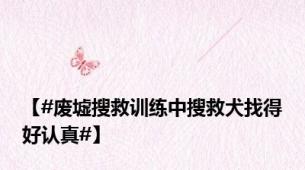 【#废墟搜救训练中搜救犬找得好认真#】