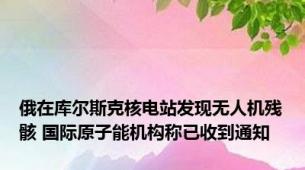 俄在库尔斯克核电站发现无人机残骸 国际原子能机构称已收到通知