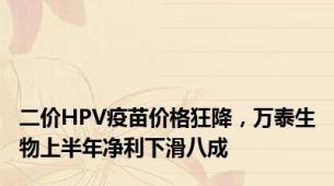二价HPV疫苗价格狂降，万泰生物上半年净利下滑八成