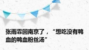 张雨霏回南京了，“想吃没有鸭血的鸭血粉丝汤”