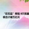 “巨无霸”频现 8只宽基ETF规模合计破万亿元
