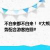 不白来都不白来！ #大熊猫摆姿势配合游客拍照#