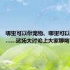 哪里可以带宠物、哪里可以搭帐篷……这场大讨论上大家聊嗨了——