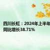 四川长虹：2024年上半年净利润同比增长38.71%