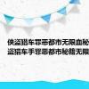 侠盗猎车罪恶都市无限血秘籍（侠盗猎车手罪恶都市秘籍无限生命）