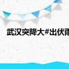 武汉突降大#出伏雨#